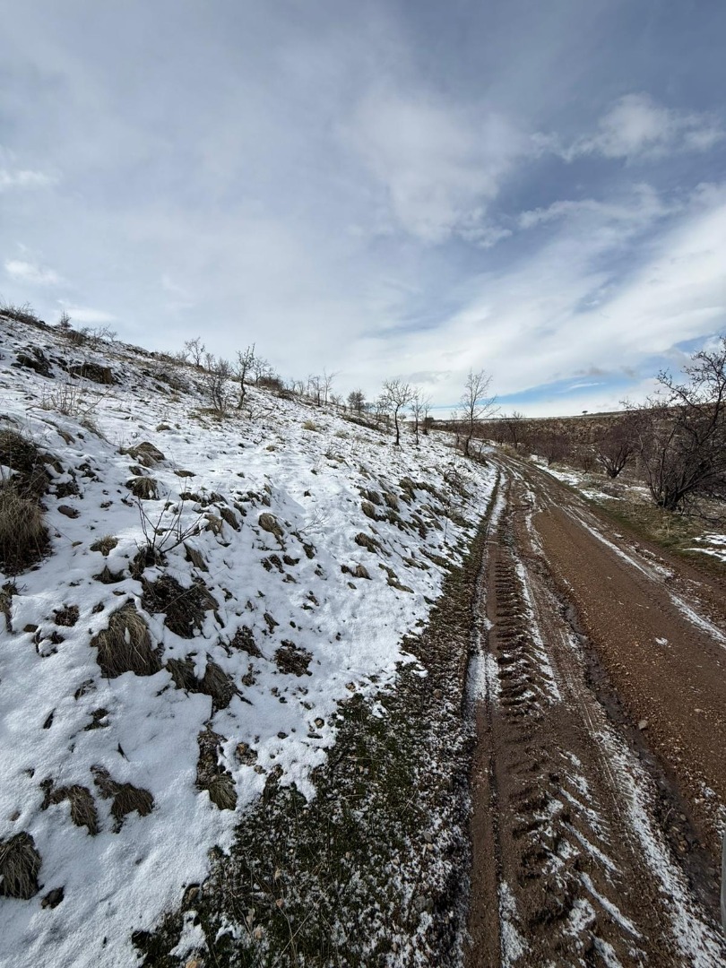 KAYSERİ DEVELİ FENESEYUKARI MAHALLESİ ÇAĞLAYAN MEVKİİNDE SATILIK BAĞ YERİ